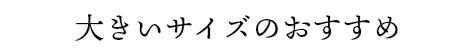 大きいサイズのおすすめ